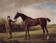 George Stubbs, Lustre hero by a Groom